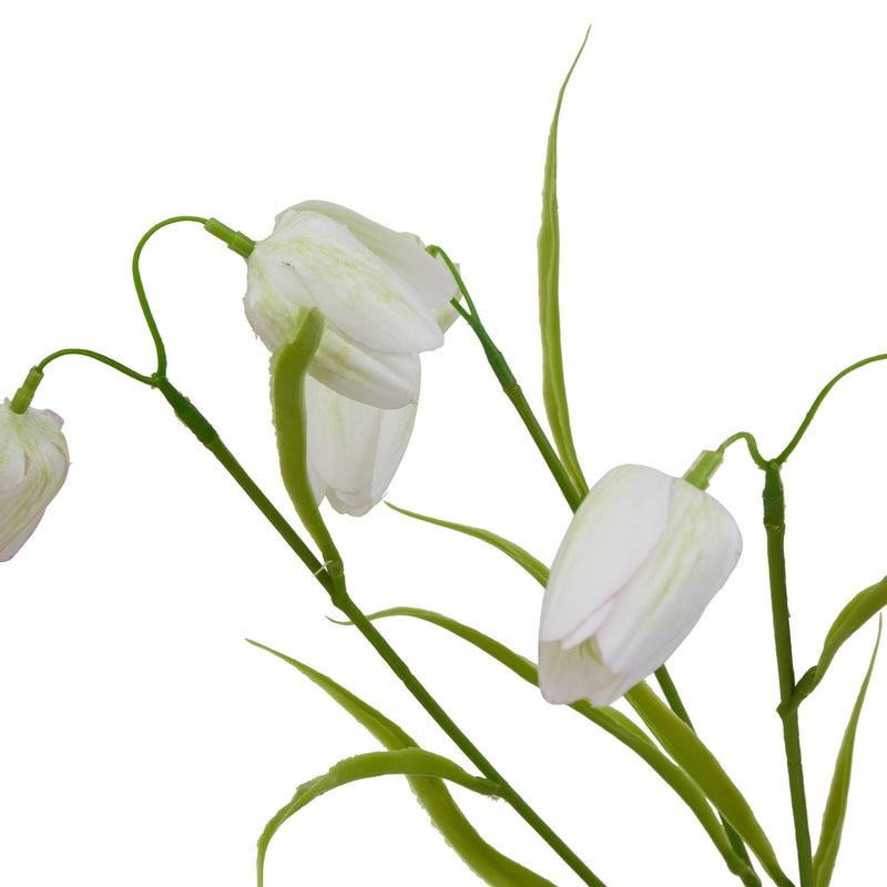 White Fritillaria Spray