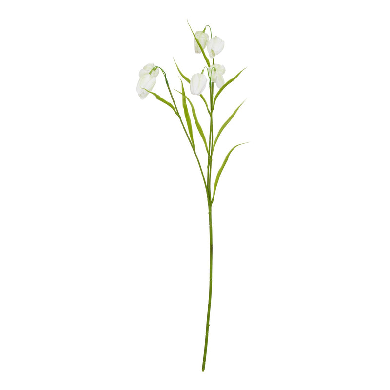 White Fritillaria Spray