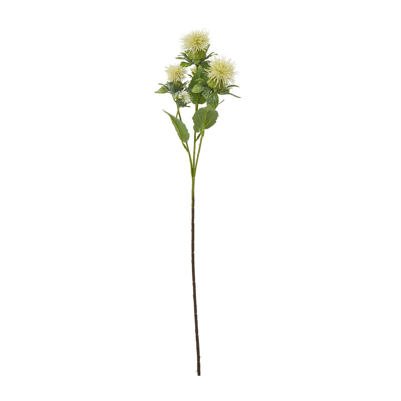 Cream Flower Stem