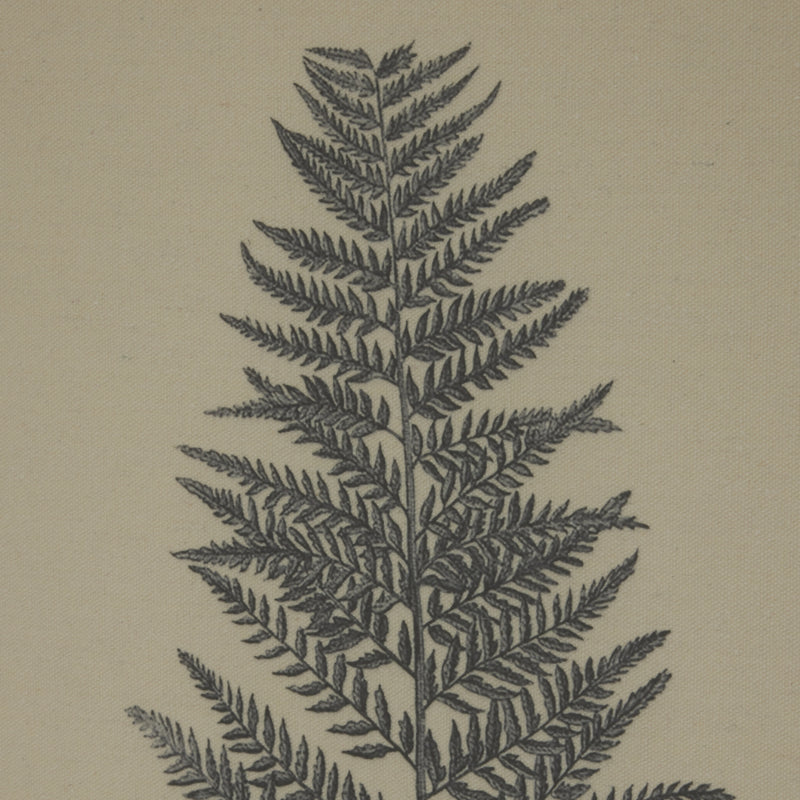 Linen Beech Fern Illustration in Beaded Frame