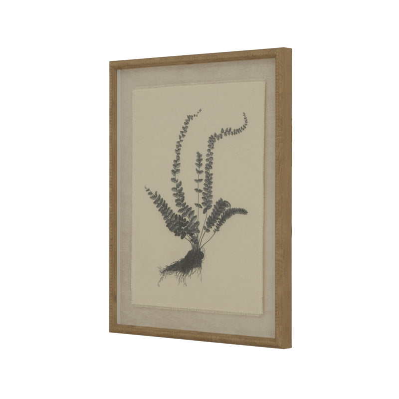 Linen Spleenwort Illustration In Beaded Frame