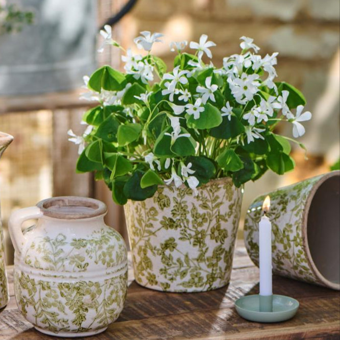 Green Blossom Pot