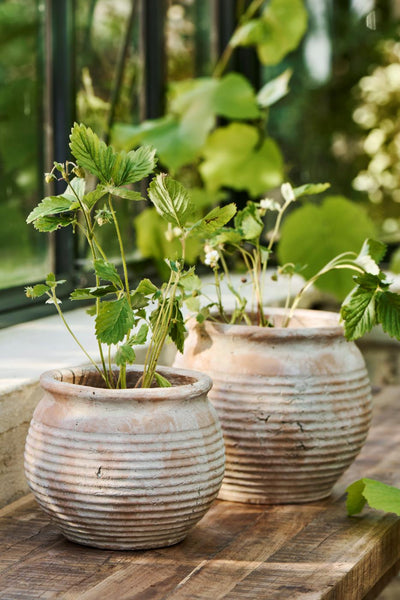 Terracotta 17.5cm Plant Pot