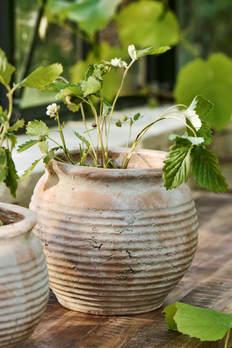 Terracotta 20cm Plant Pot