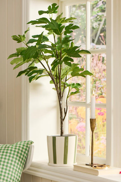 Large Green Striped Pot