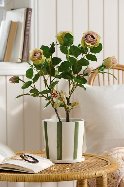 Small Green Striped Pot