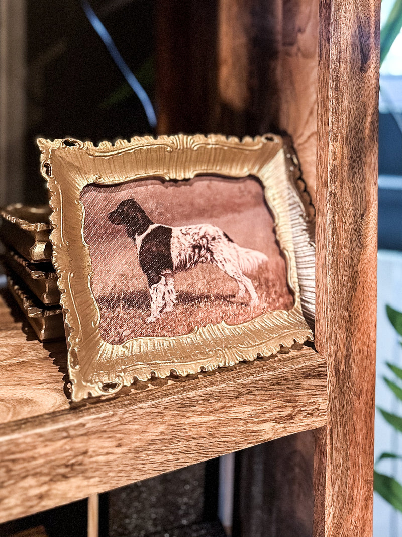 Spaniel Picture In Ornate Gold Frame