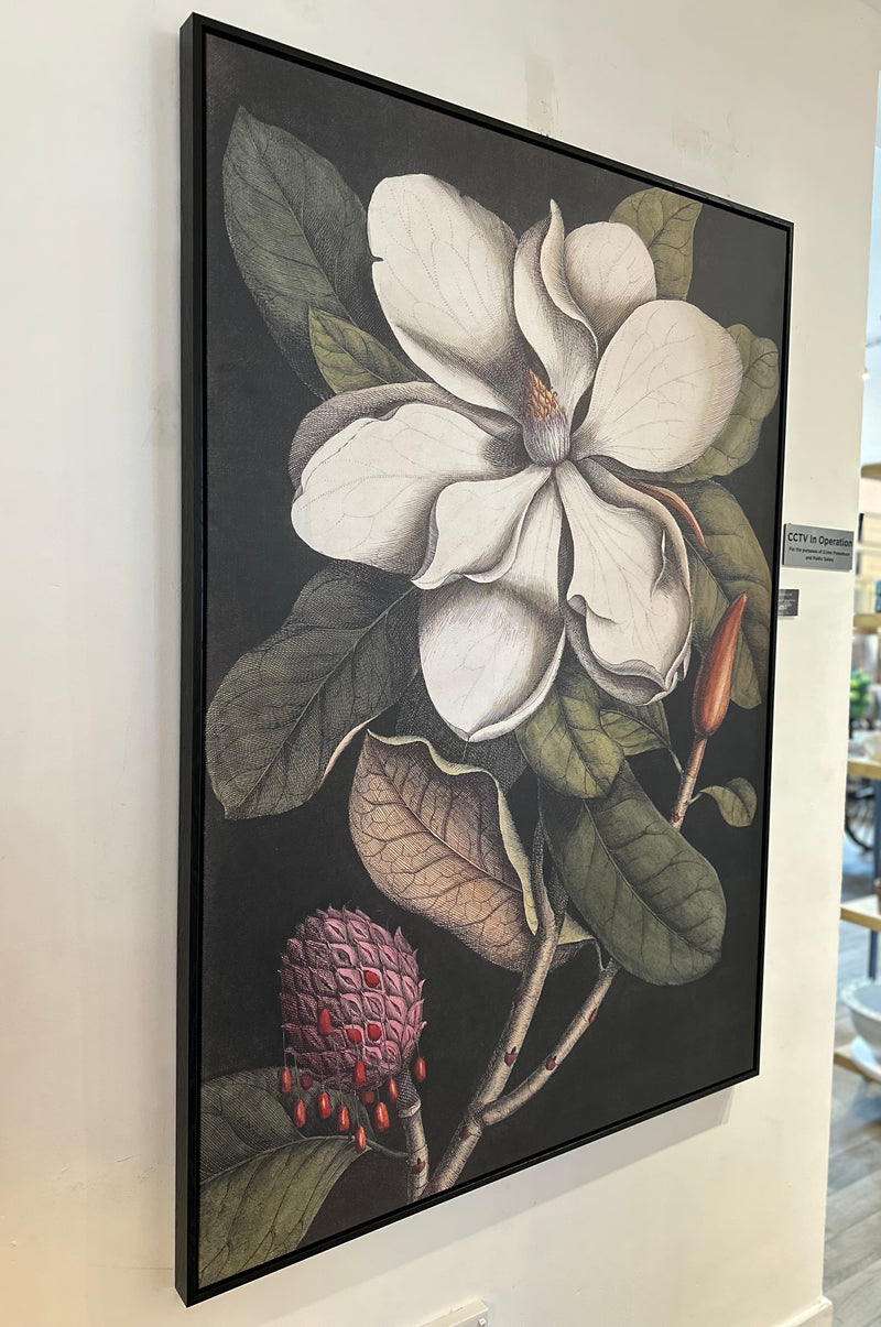 Magnolia Framed Print