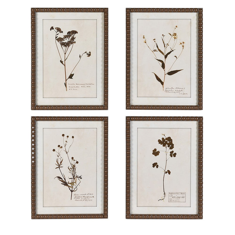 Set of 4 Floral Annotated Wall Art