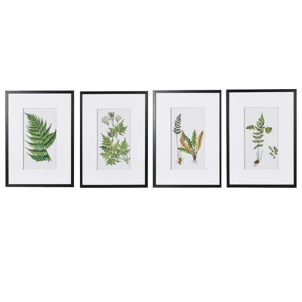 Set of 4 Fern Pictures