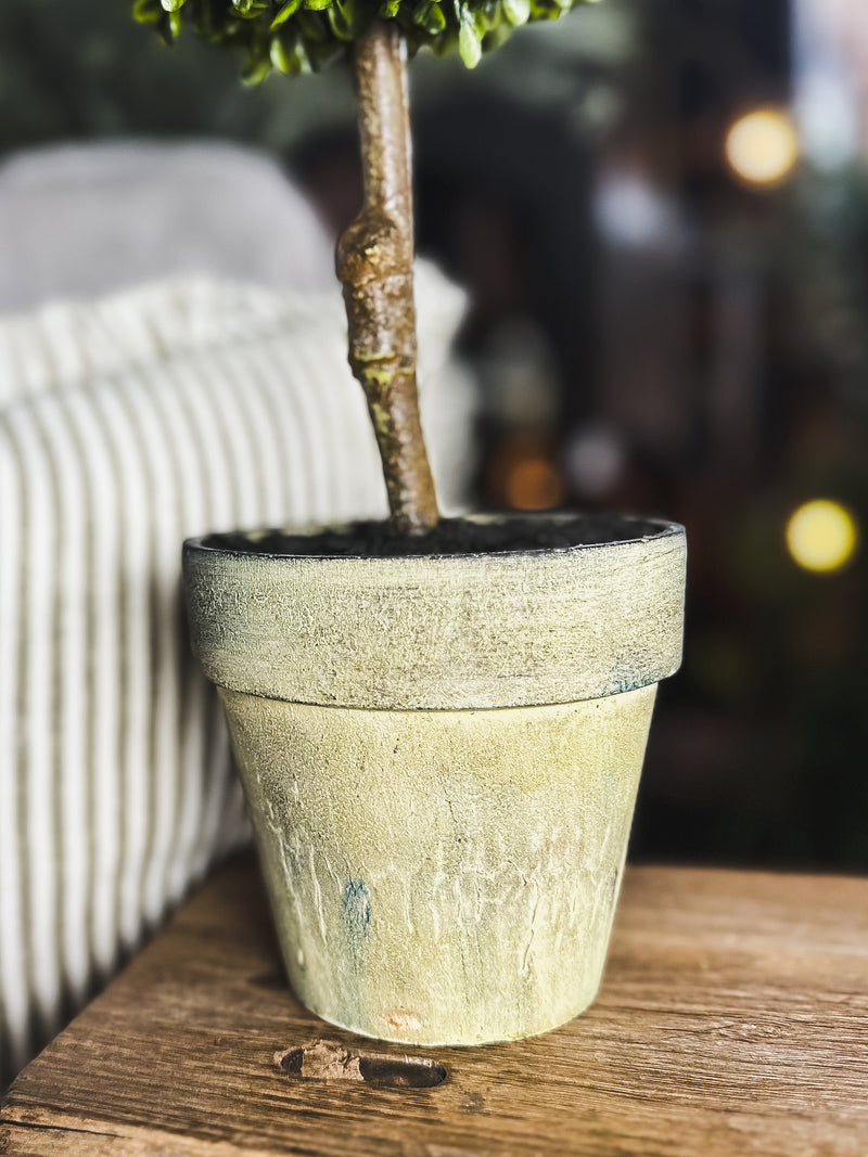 Mini Boxwood Ball in Brown Pot