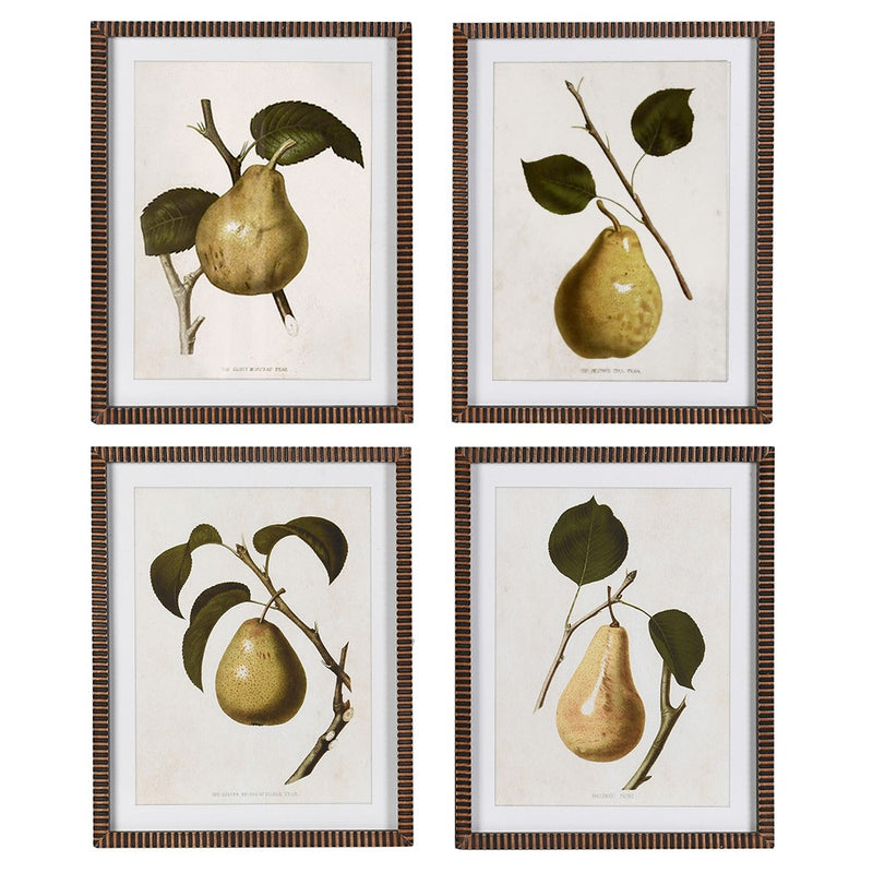 Set of 4 Pears Wall Art