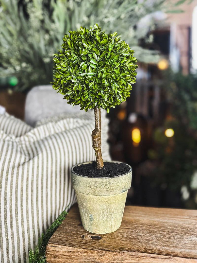 Mini Boxwood Ball in Brown Pot