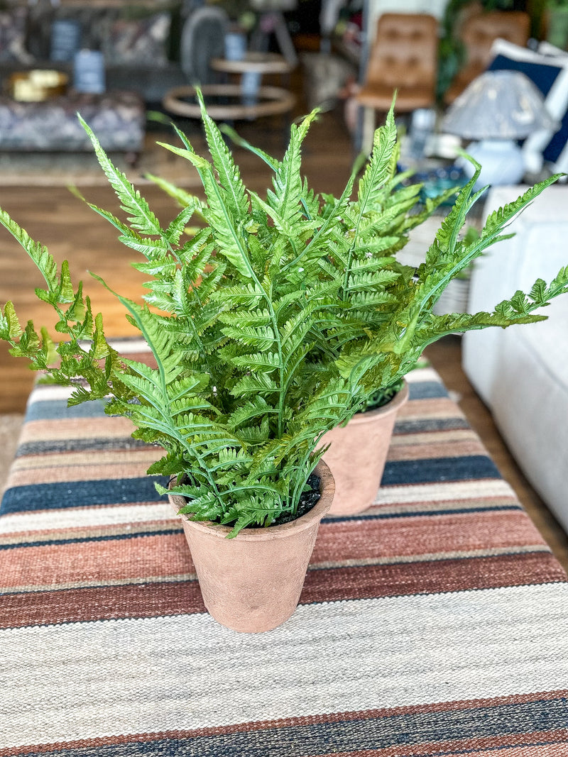 Faux Verdant Fern In Terracotta Pot