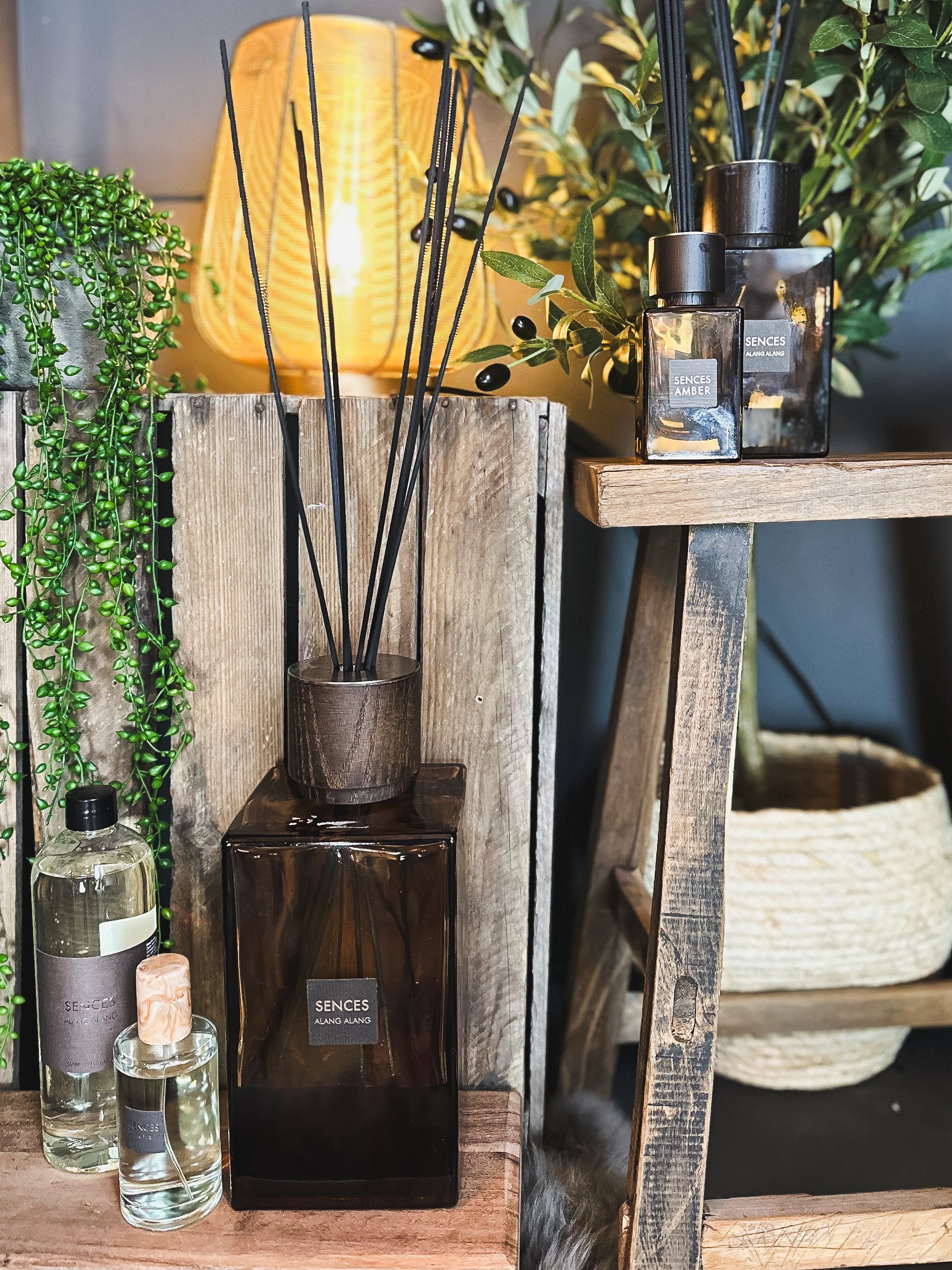 Amber Alang Reed Diffusers Small Amber Alang Alang Diffuser – Zoohause
