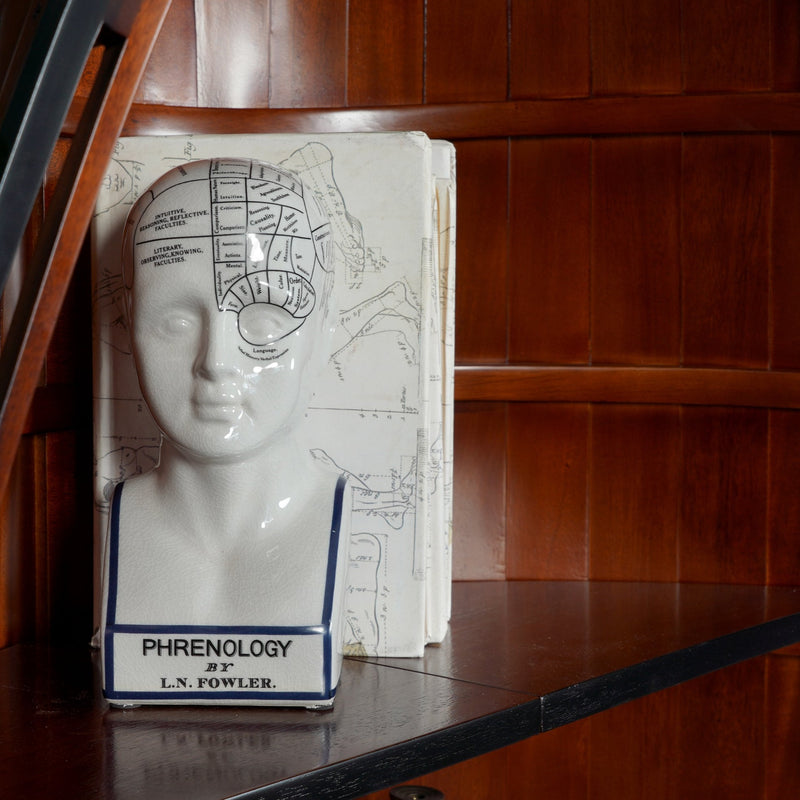 Phrenology Head Small