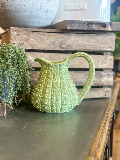 Sage Urchin Jug