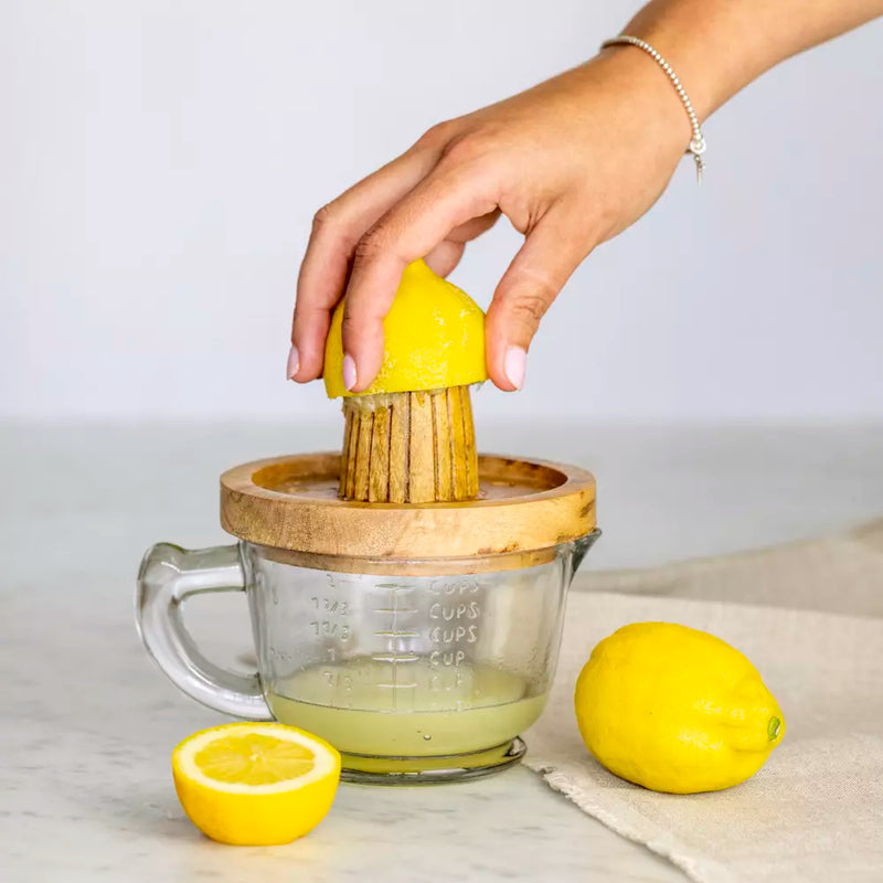 Citrus Juicer