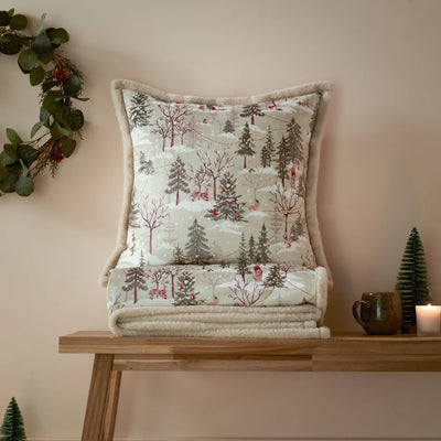 Festive Print Natural Velvet & Faux Fur Cushion 50x50cm