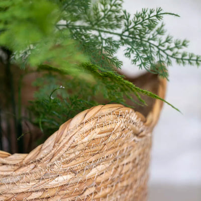 Seagrass Basket Frill Edge