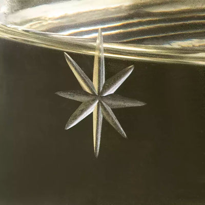 Etched Star Champagne Coupe