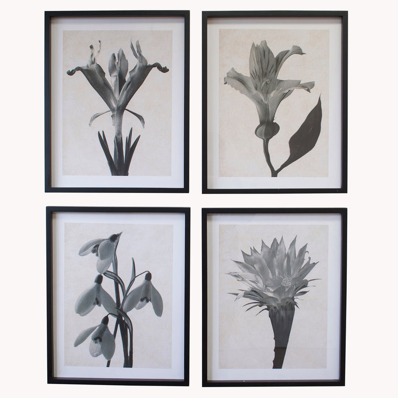 Set of 4 Framed Monochrome Floral Wall Art No.3