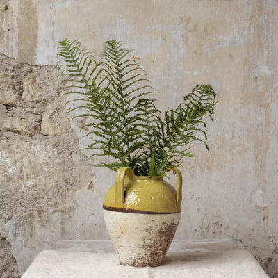 Mustard Vase With Handles