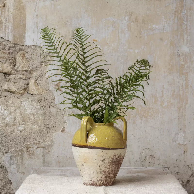 Mustard Vase With Handles