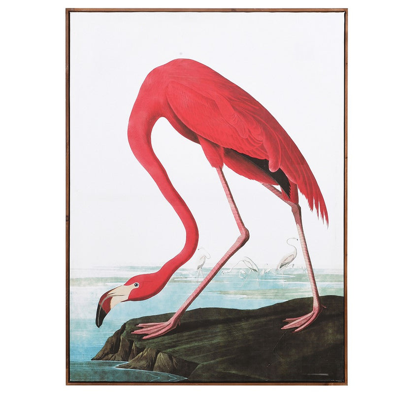 Pink Flamingo Picture