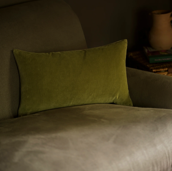 Lichen Cotton Velvet Cushion 30x50cm