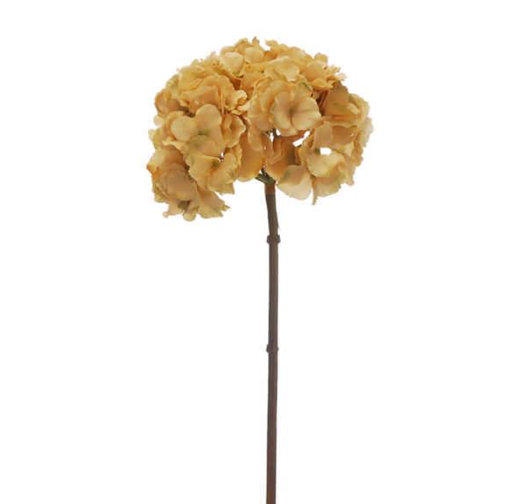 45cm Caramel Hydrangea Stem