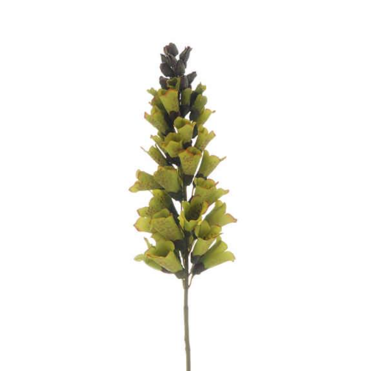 80cm Green Foxglove Stem