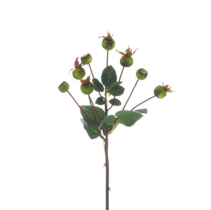 56CM Green Crab Apple