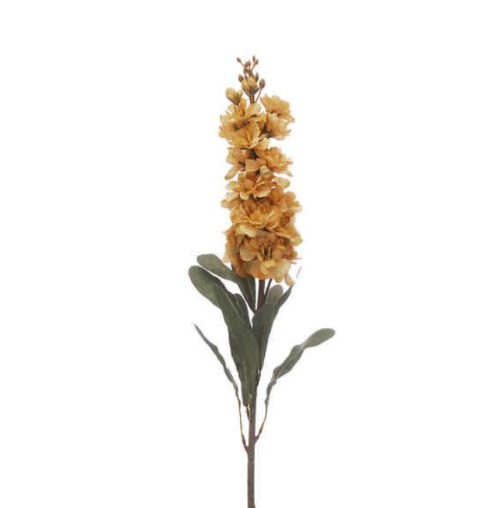 80cm Caramel Delphinium Stem