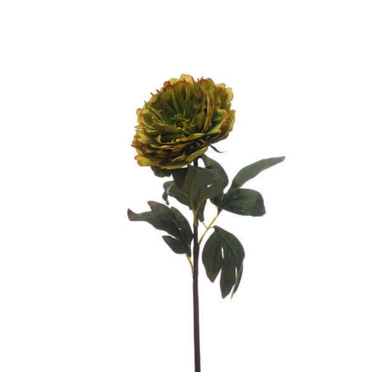 60cm Green Peony Stem