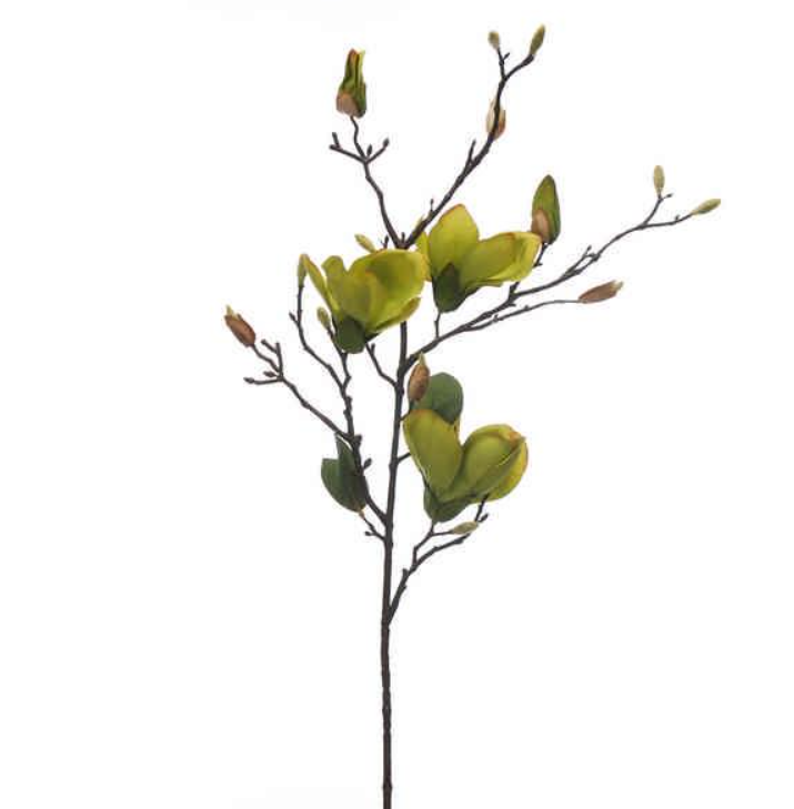 85cm Green Magnolia Stem