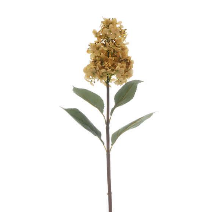 84cm Dark Cream Hydrangea Stem