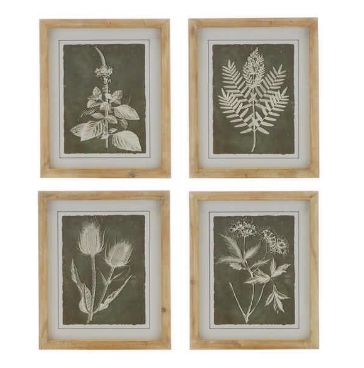 Set of 4 Botanical Prints