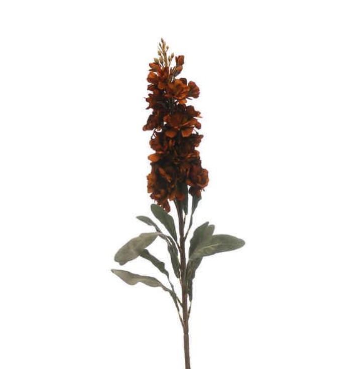 80cm Brown Flower Delphinium Stem