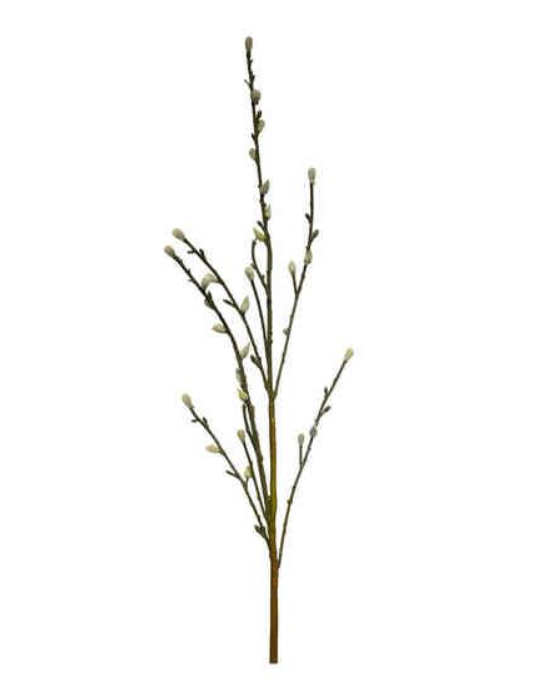 110cm Pussy Willow Branch