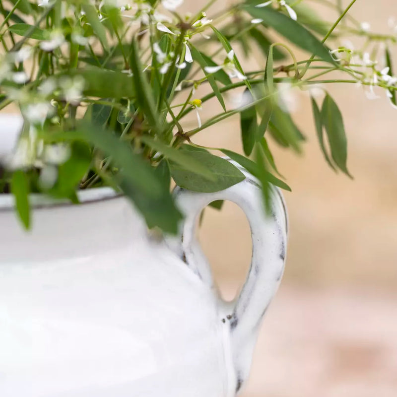 White Glazed Vase W/ Handles