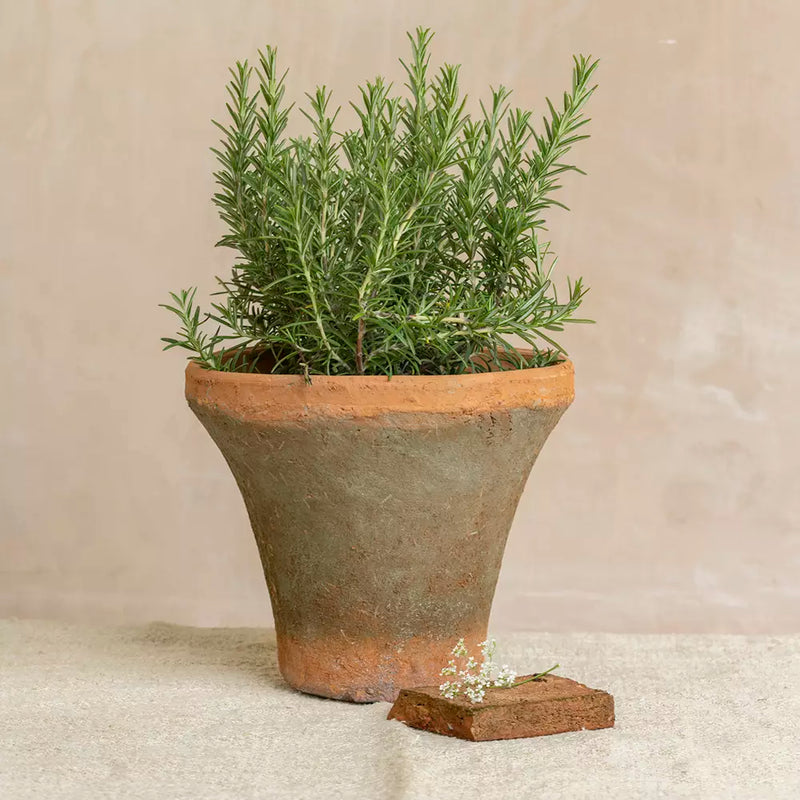 Antiqued Redstone Trumpet Pot 24x20cm