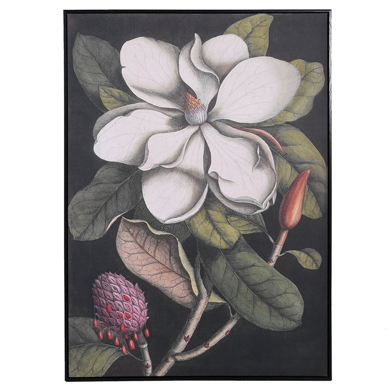 Magnolia Framed Print