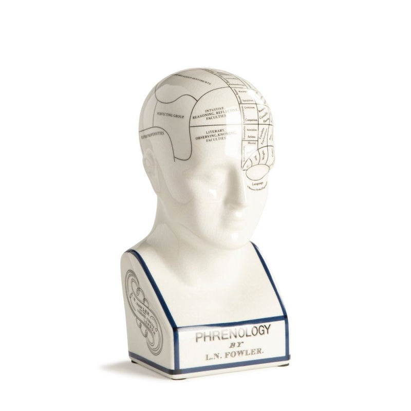 Phrenology Head Small