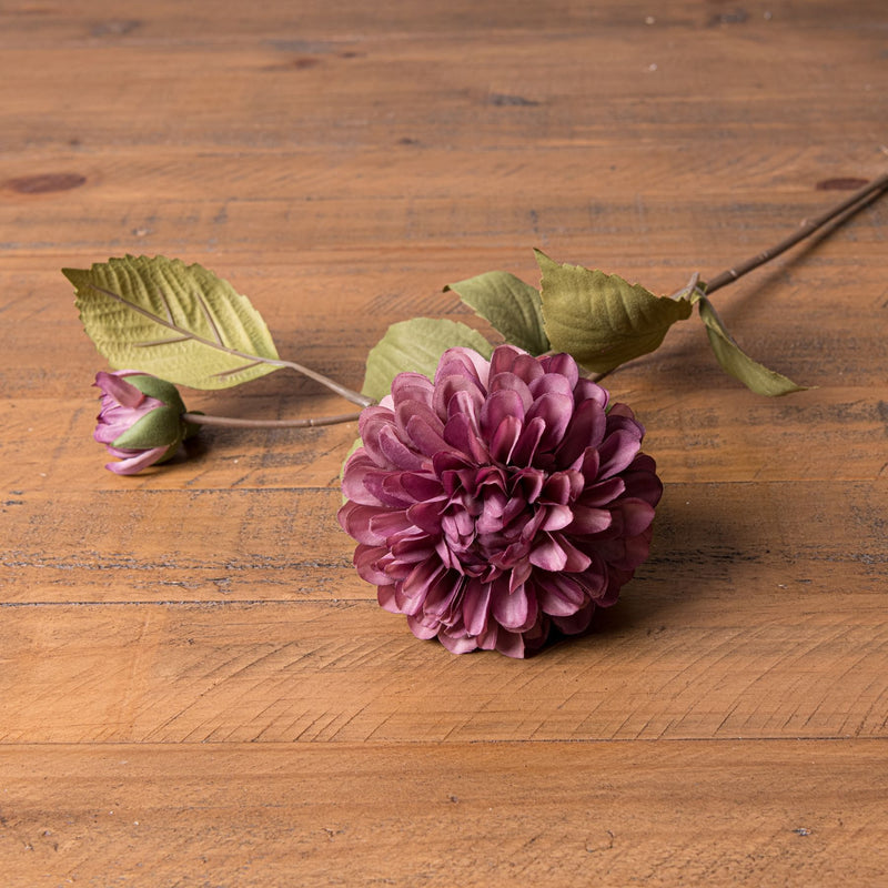 Dusty Pink Dahlia Stem