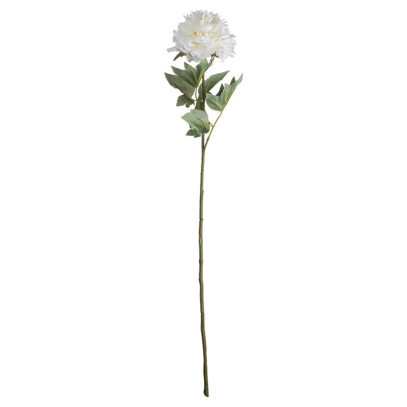 White Peony Stem