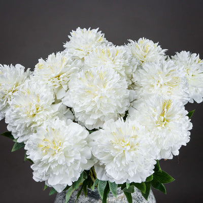 White Peony Stem