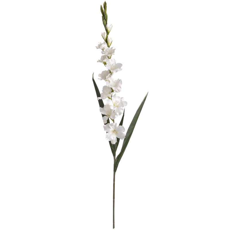 White Gladioli Stem