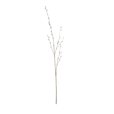 Pussy Willow Branch