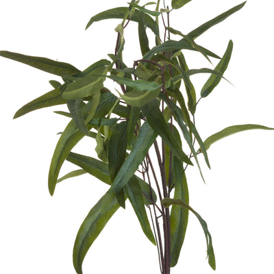 Willow Eucalyptus Spray